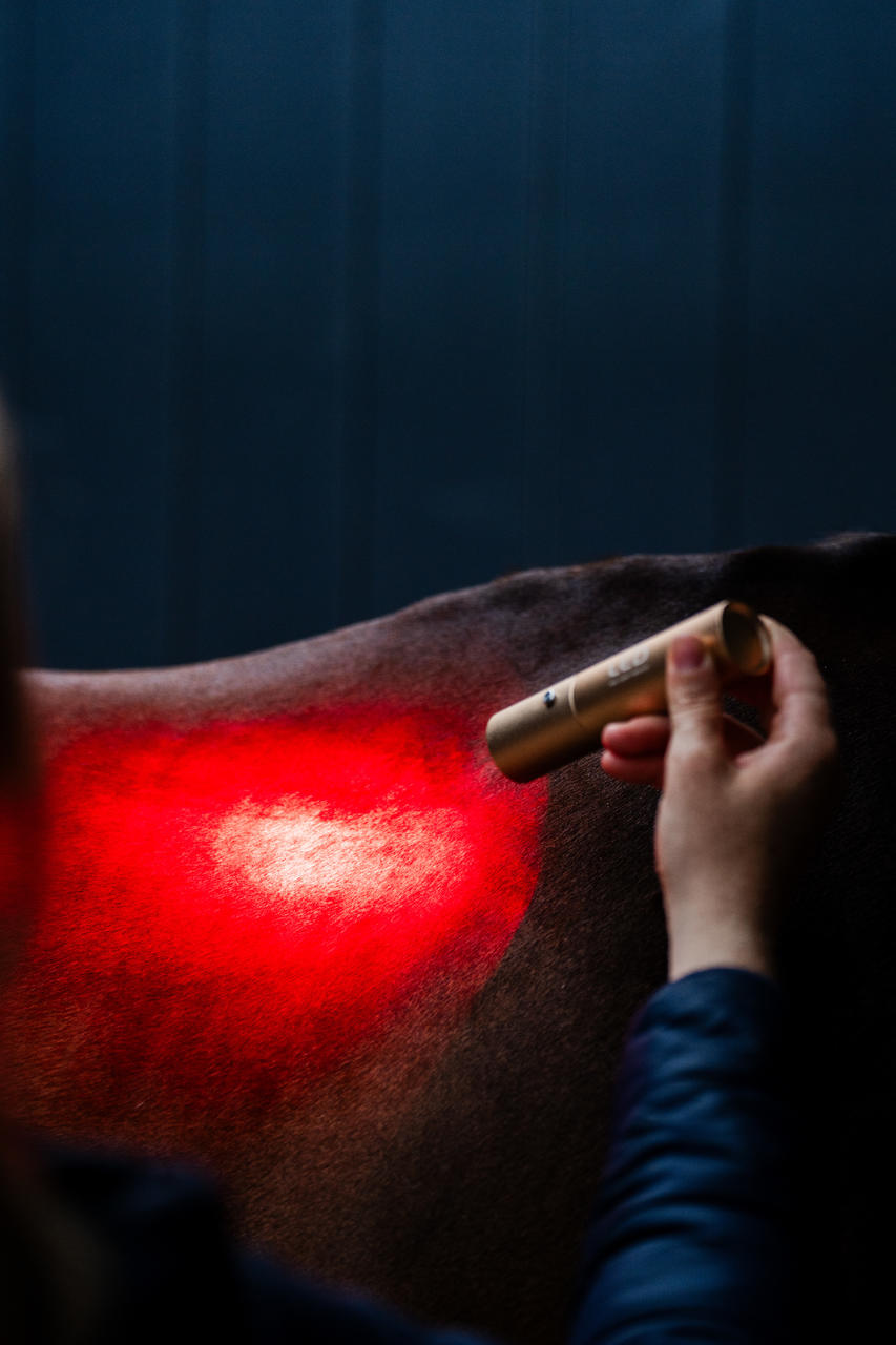 Horseware LED Red Light Therapy Wand