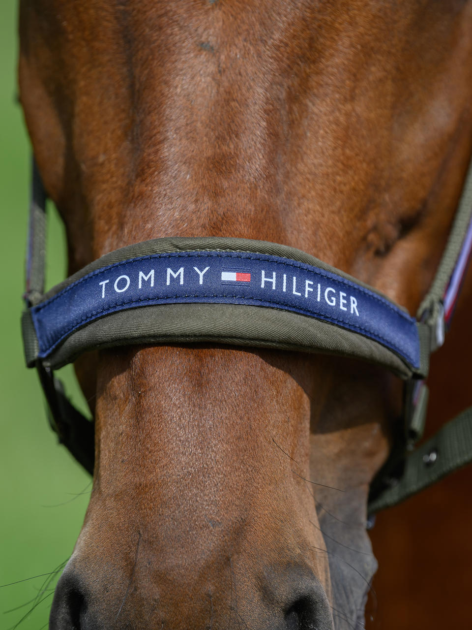 Tommy Hilfiger Lincoln Halfter
