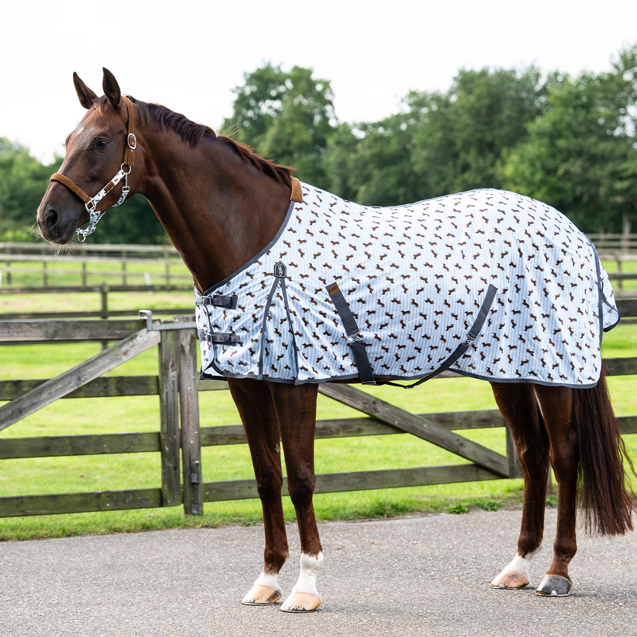 QHP Fliegendecke Stable Buddy