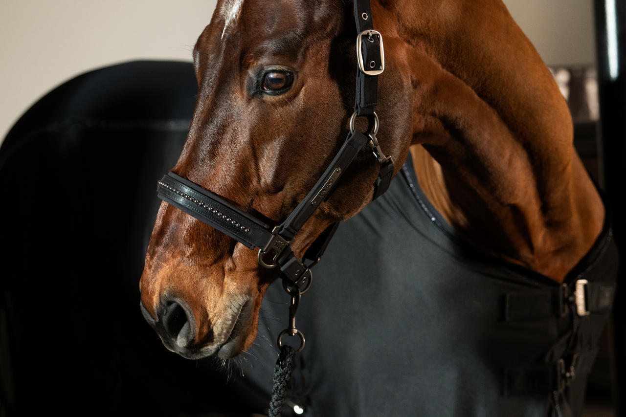 Eskadron Halfter FAUX LEATHER DOUBLE PIN