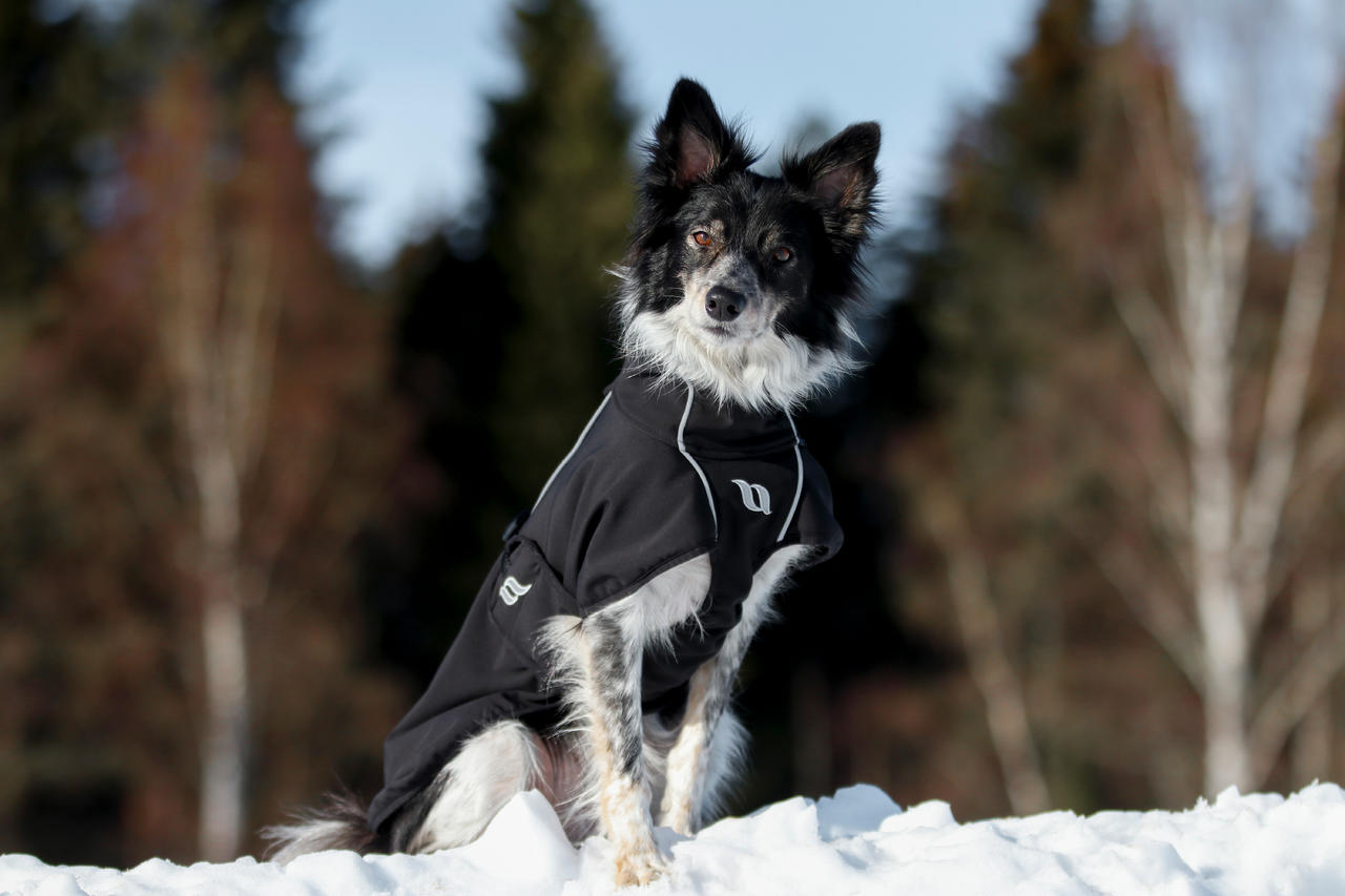 Back on Track Bark Allround Hundemantel