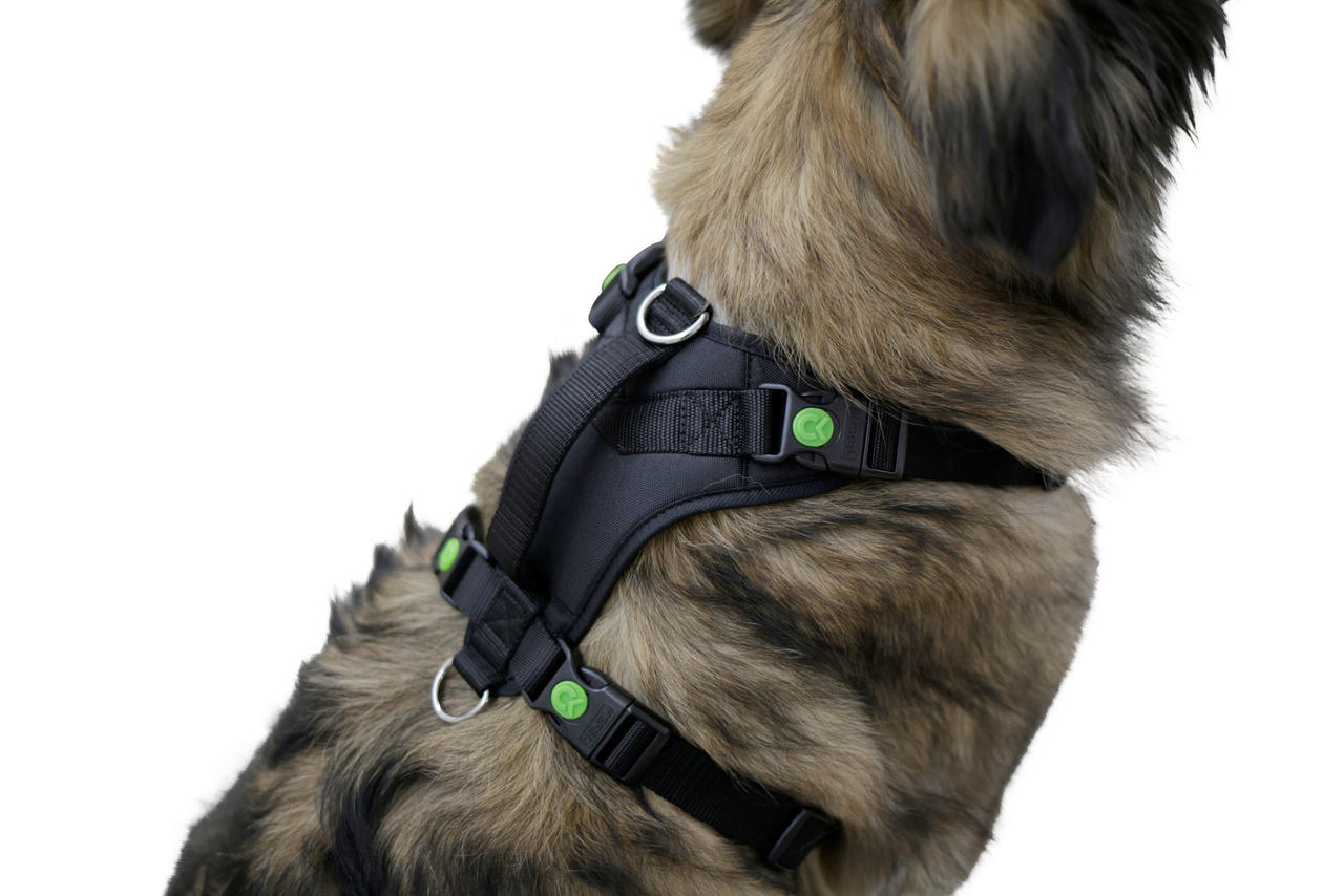 Kerbl Hundegeschirr Pulsive