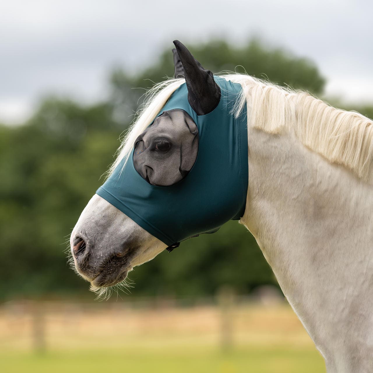 Busse Masque anti-mouches Twin Fit Flexi » Couleur: noir, Taille: Shetland Busse Masque anti-mouches Twin Fit Flexi » Couleur: noir, Taille: Shetland