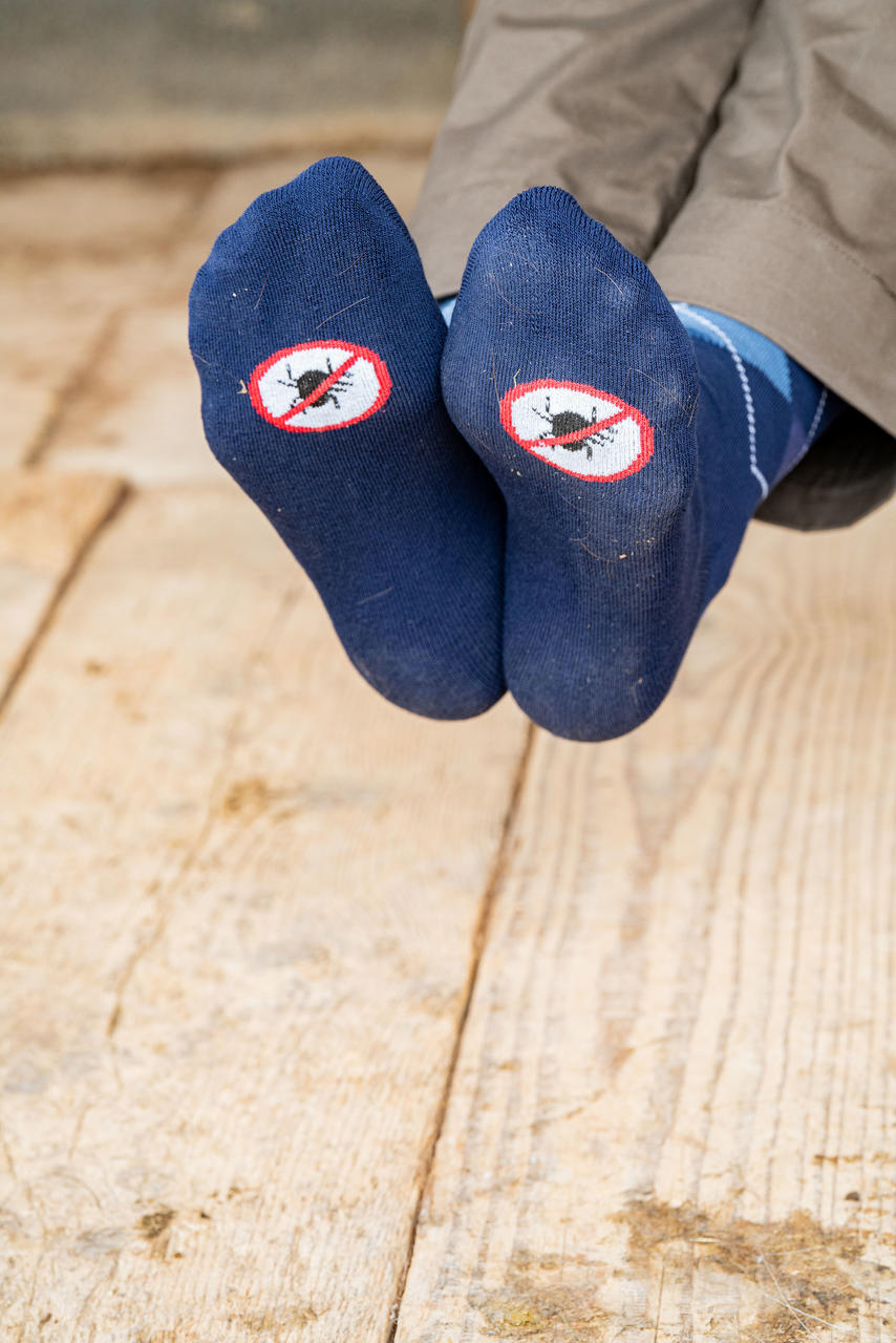 USG Karostrümpfe Original Anti-Zeckensockies