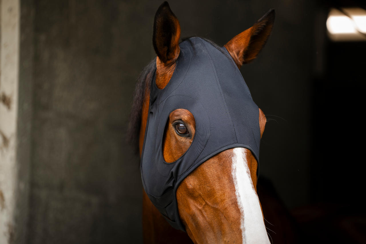 Horseware Ionic Calming Face Mask