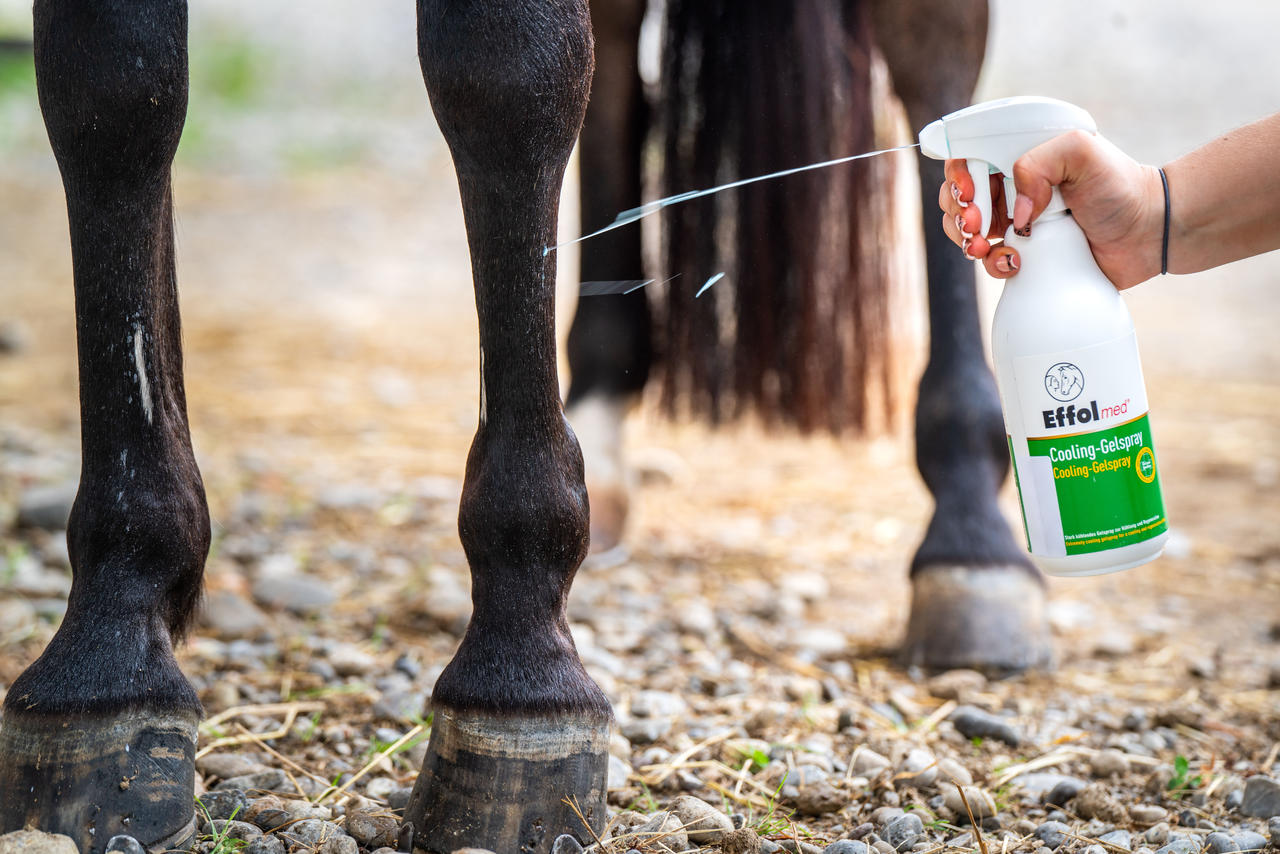 Effol  MED Cooling Gel Spray