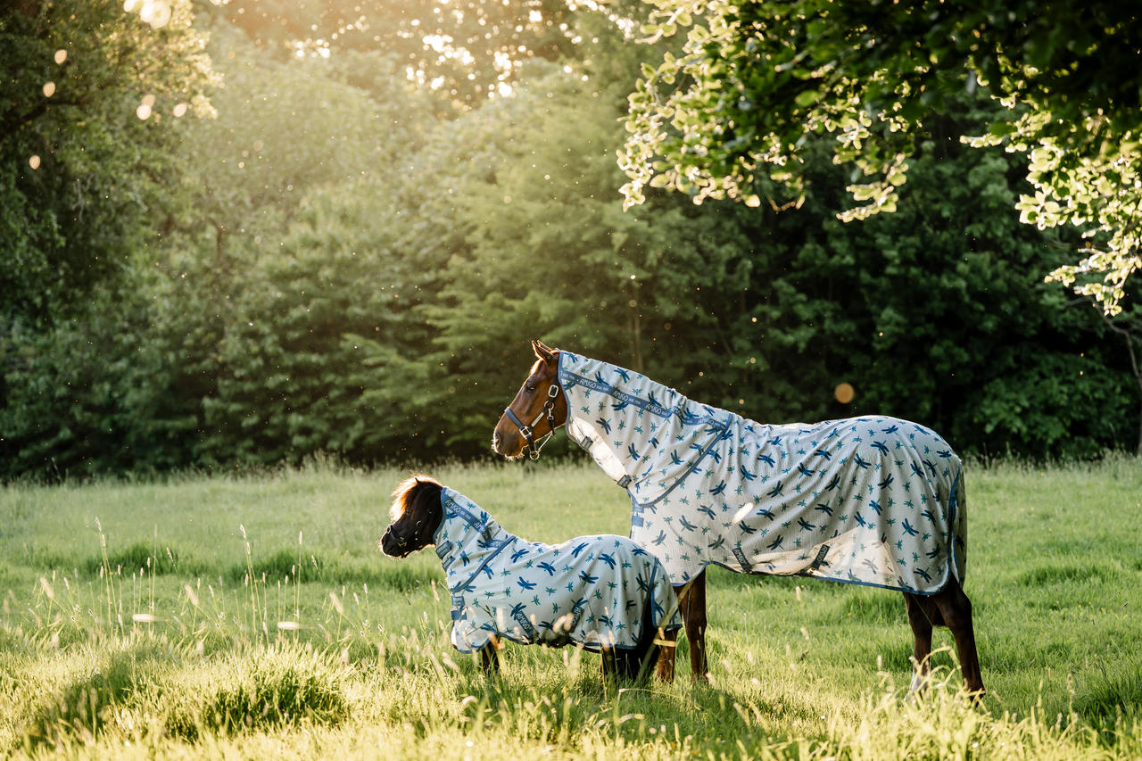 Horseware Amigo Bug Rug