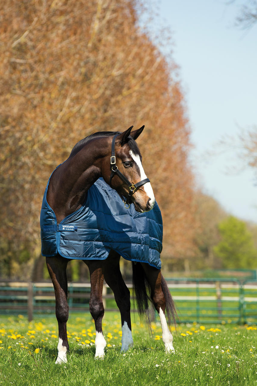 Horseware Liner Unterdecke 100g Horseware Liner Unterdecke 100g