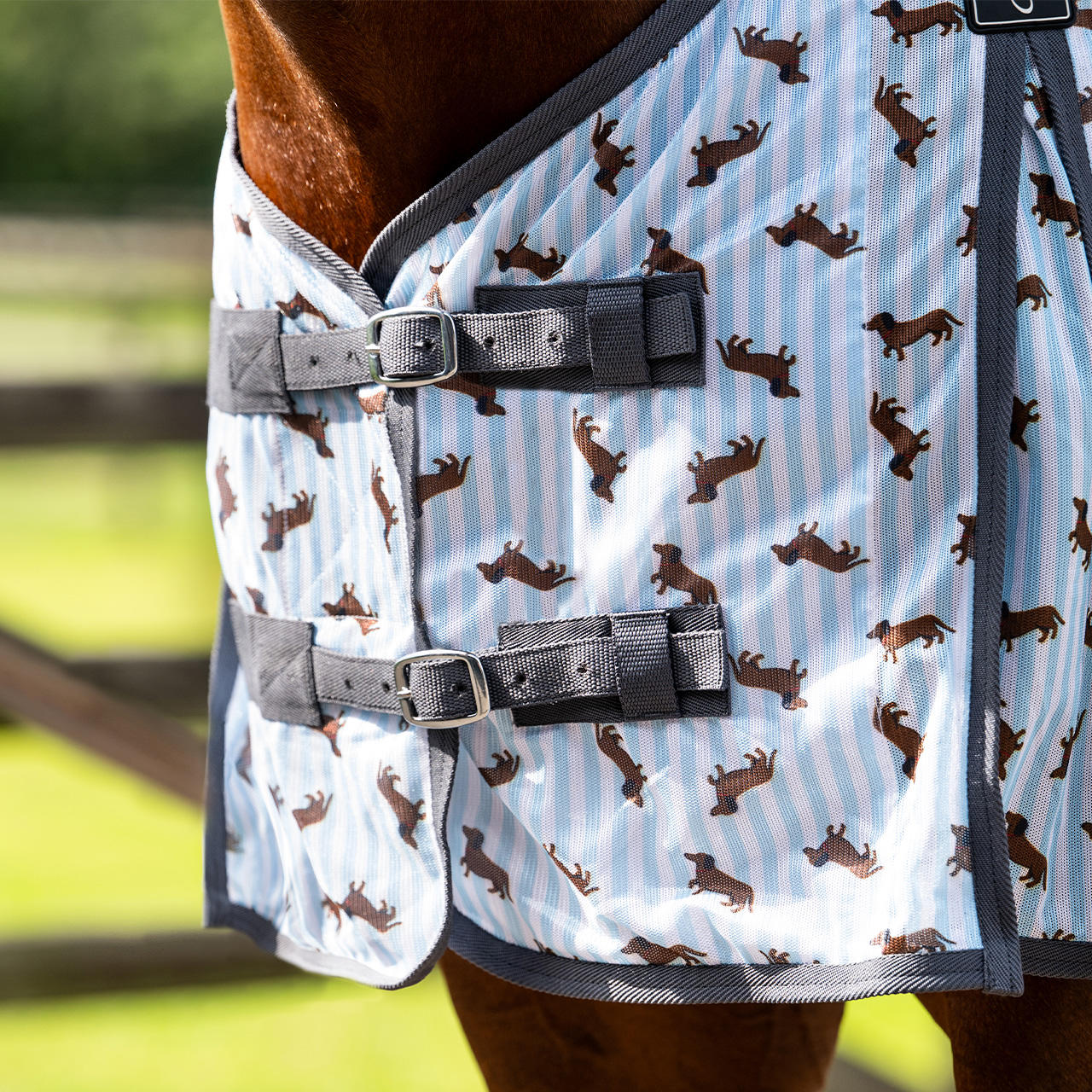 QHP Fliegendecke Stable Buddy