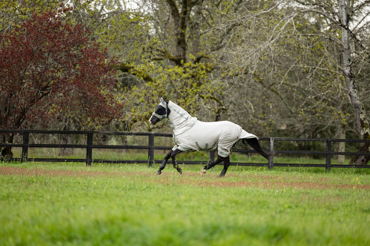 LeMieux Arika Armour-Tek Fly Rug