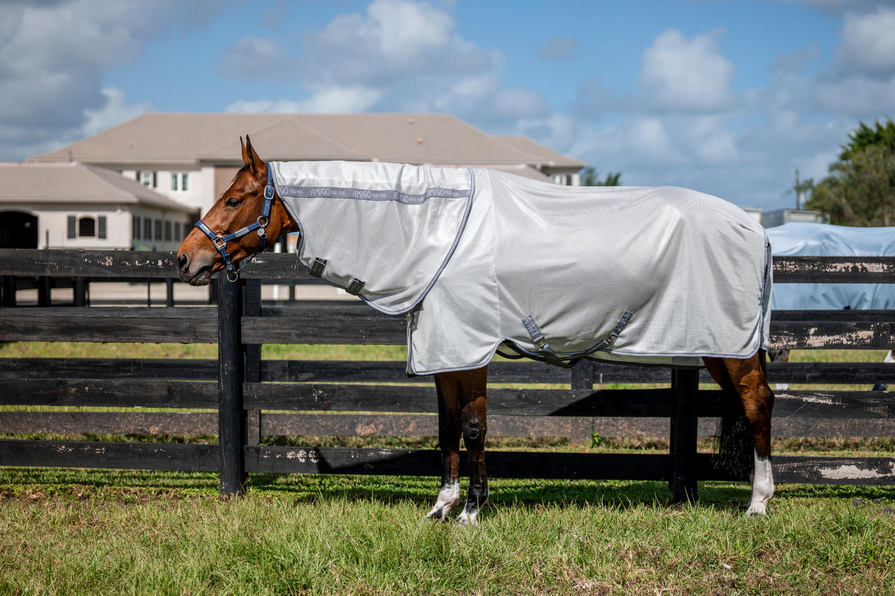 Horseware Amigo Bug Rug XL Plus
