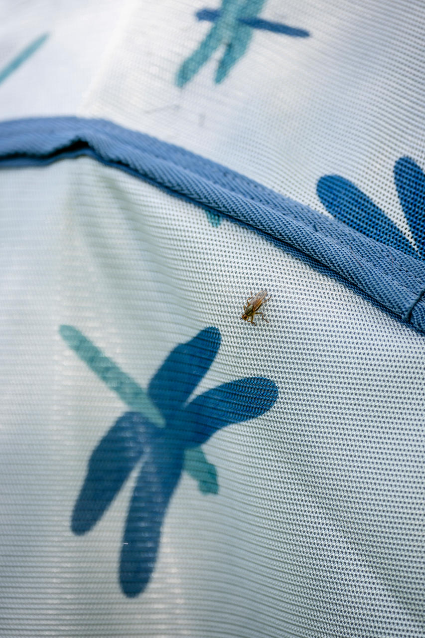 Horseware Amigo Bug Rug