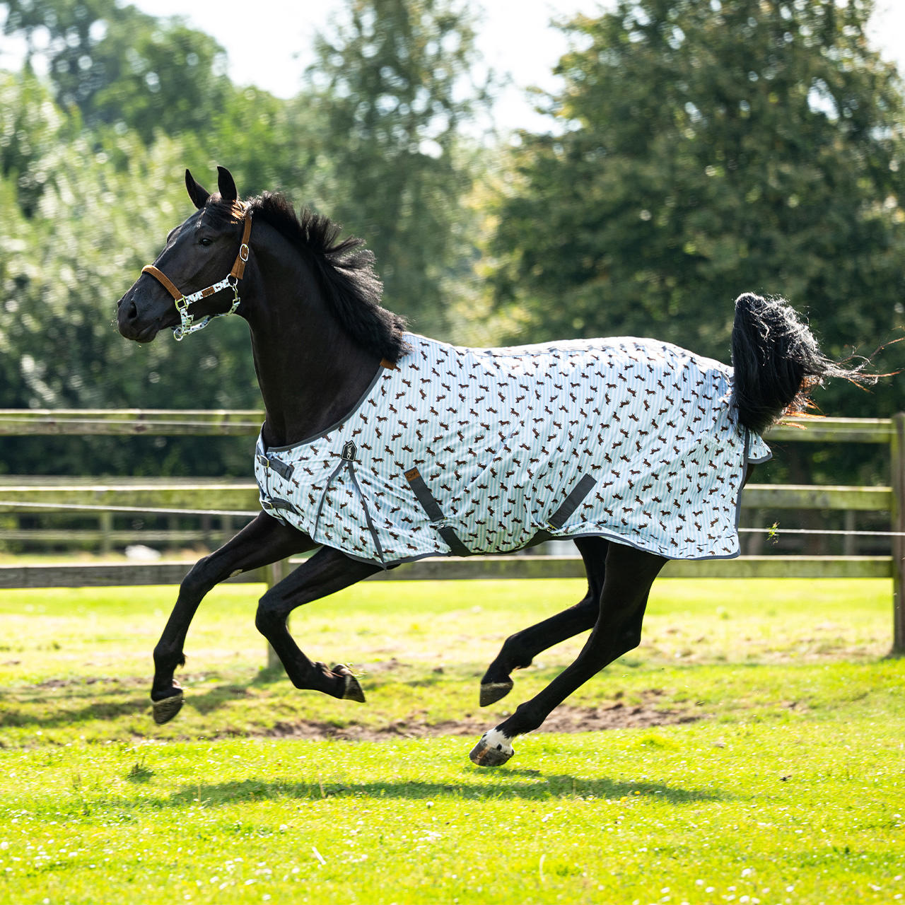 QHP Fliegendecke Stable Buddy