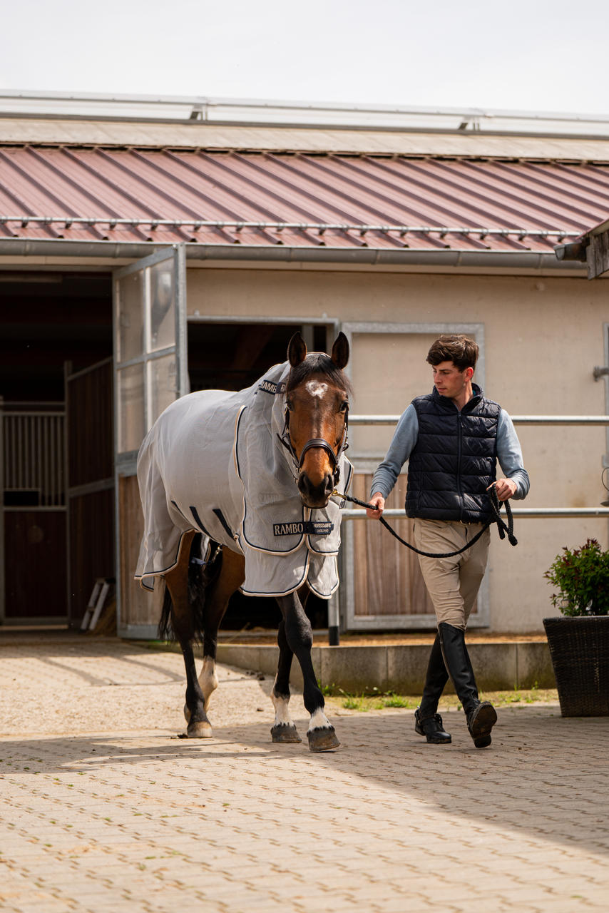 Horseware Rambo Protector Plus