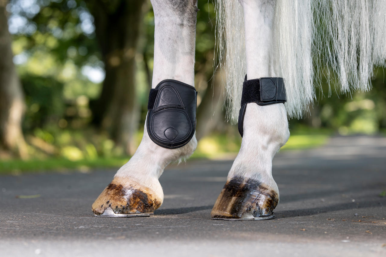 LeMieux Capella Leather Fetlock Boots