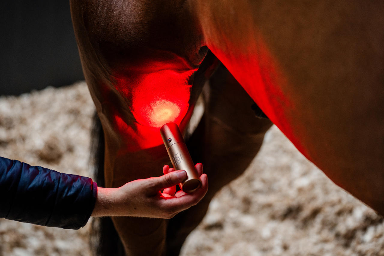 Horseware LED Red Light Therapy Wand