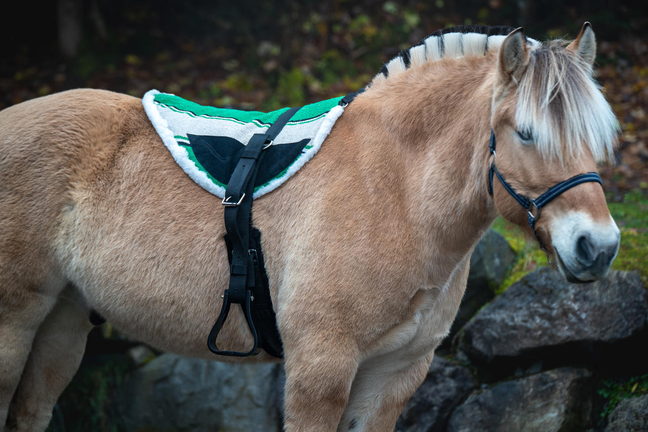 Bareback Pad Navajo