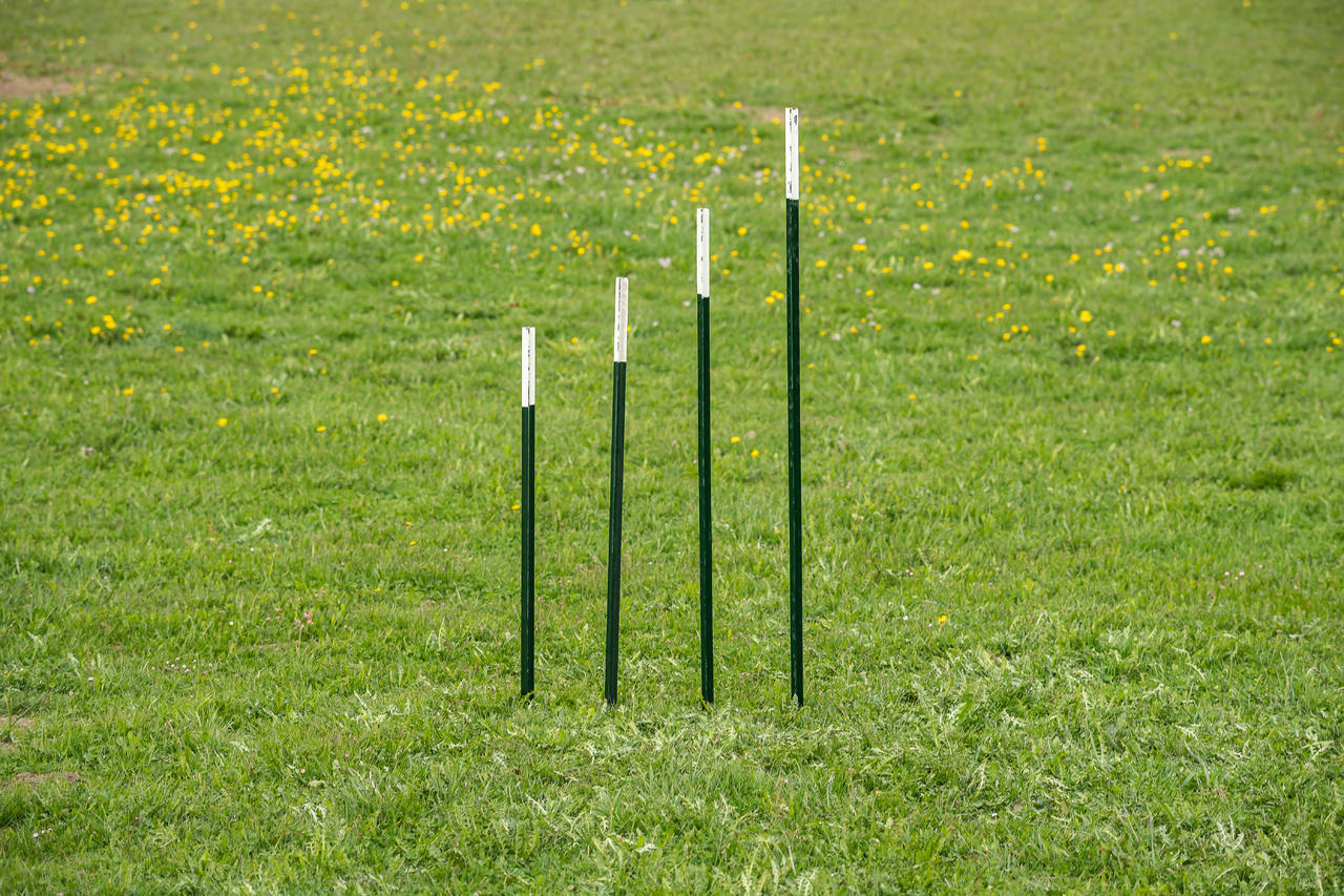 AKO T-Pfosten - 182 cm, Zaunhöhe: 142 cm