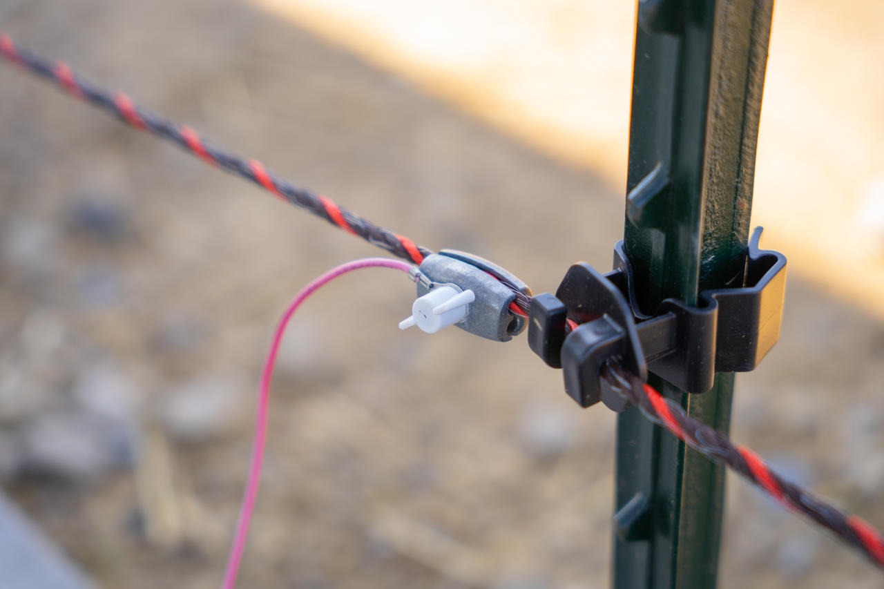 AKO T-Pfosten Seil-/Litzenisolator 25 Stück