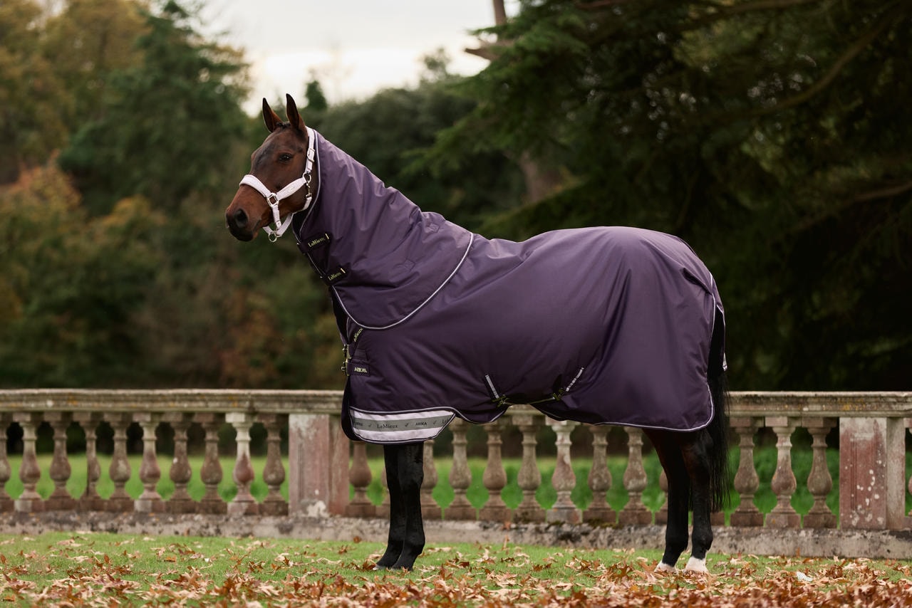 LeMieux Arika Ripstop 50g Turnout Rug in Alpine LeMieux Arika Ripstop 50g Turnout Rug in Alpine