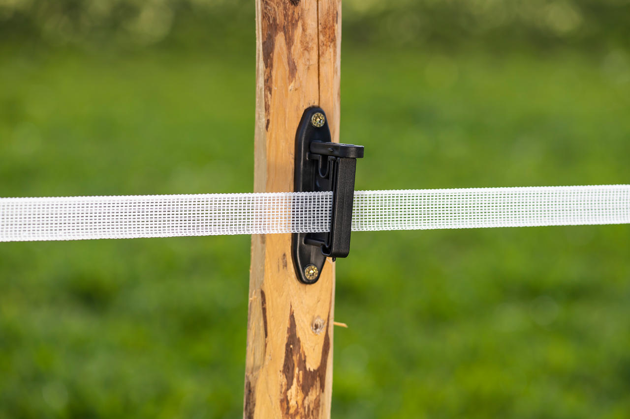 WAHL-FENCE Weidezaunband - BASIC - 20 mm / 200 m