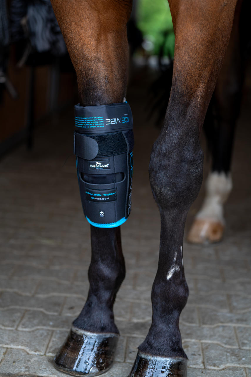 Horseware Ice-Vibe® Knee Wrap