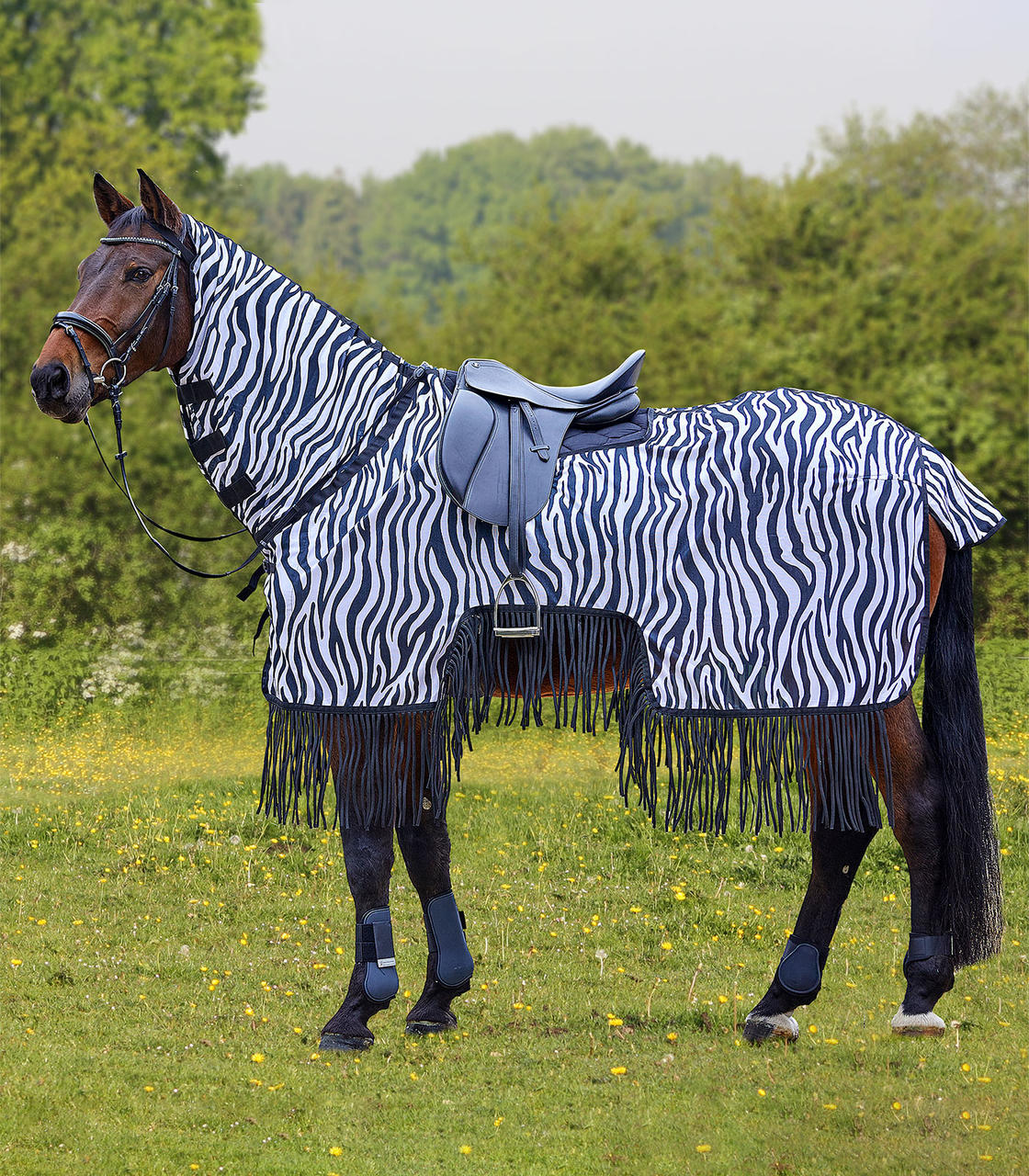 Waldhausen Fliegenausreitdecke Zebra mit Fransen Waldhausen Fliegenausreitdecke Zebra mit Fransen