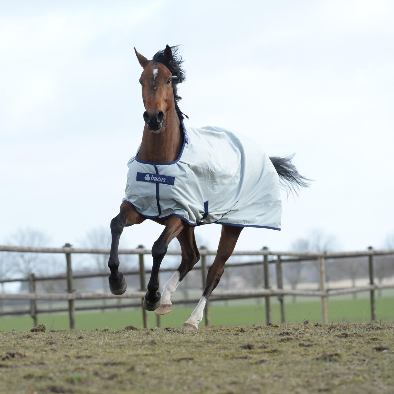 Bucas Power Turnout Light 0g