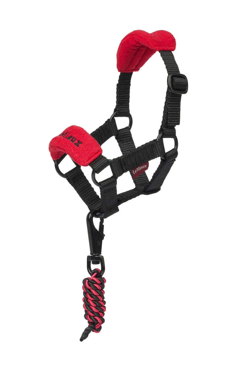LeMieux Toy Pony Vogue Halfter