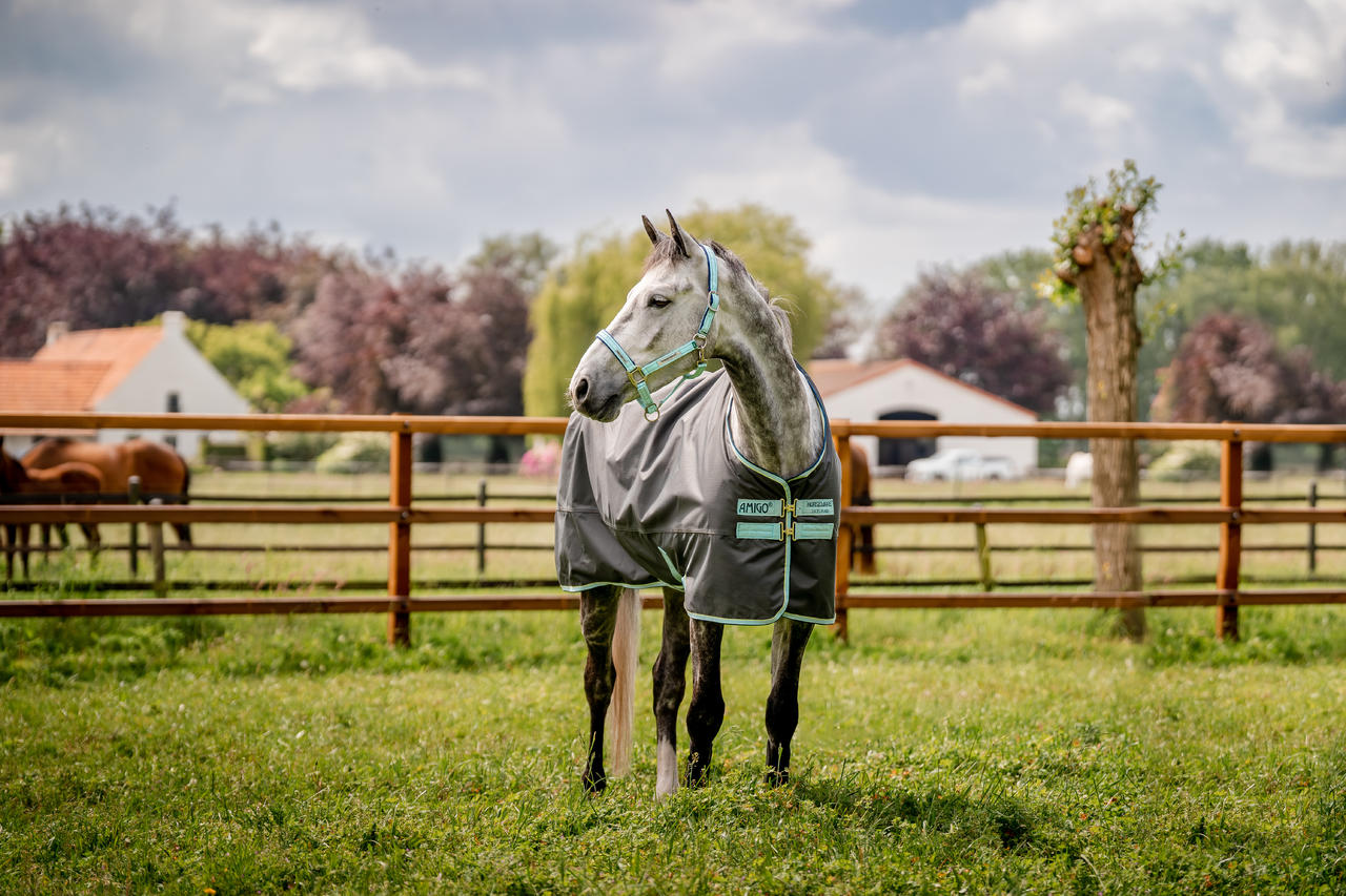 Protège-cou Pour Couverture Cheval 600D – Imperméable 5000 Mm, Bande Réfléchissante, Taille L (140-155 Cm)