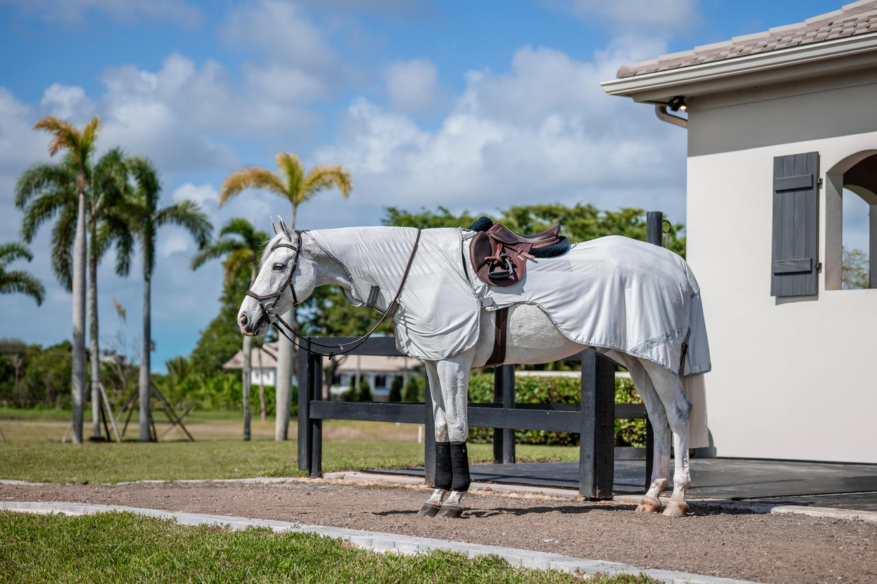 Horseware Amigo Flyrider Horseware Amigo Flyrider