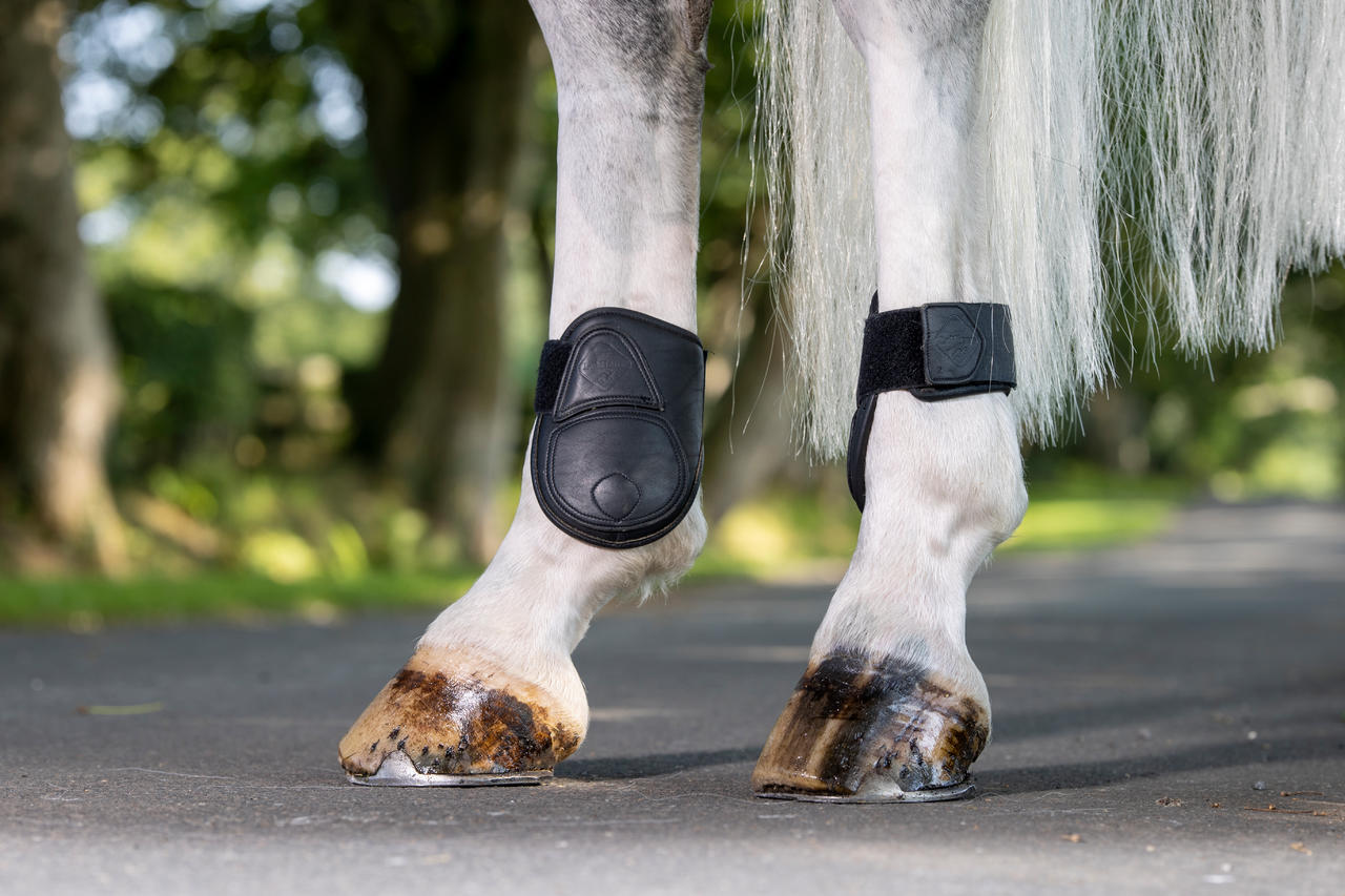LeMieux Capella Leather Fetlock Boots