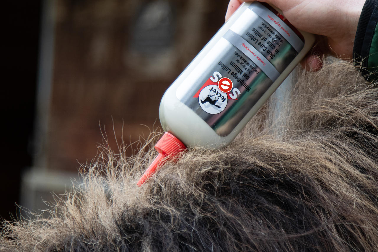 leovet SOS Hautpflege Lotion leovet SOS Hautpflege Lotion