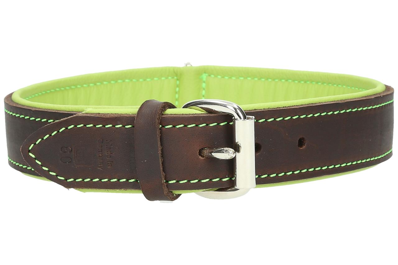 Halsband Funny-Color