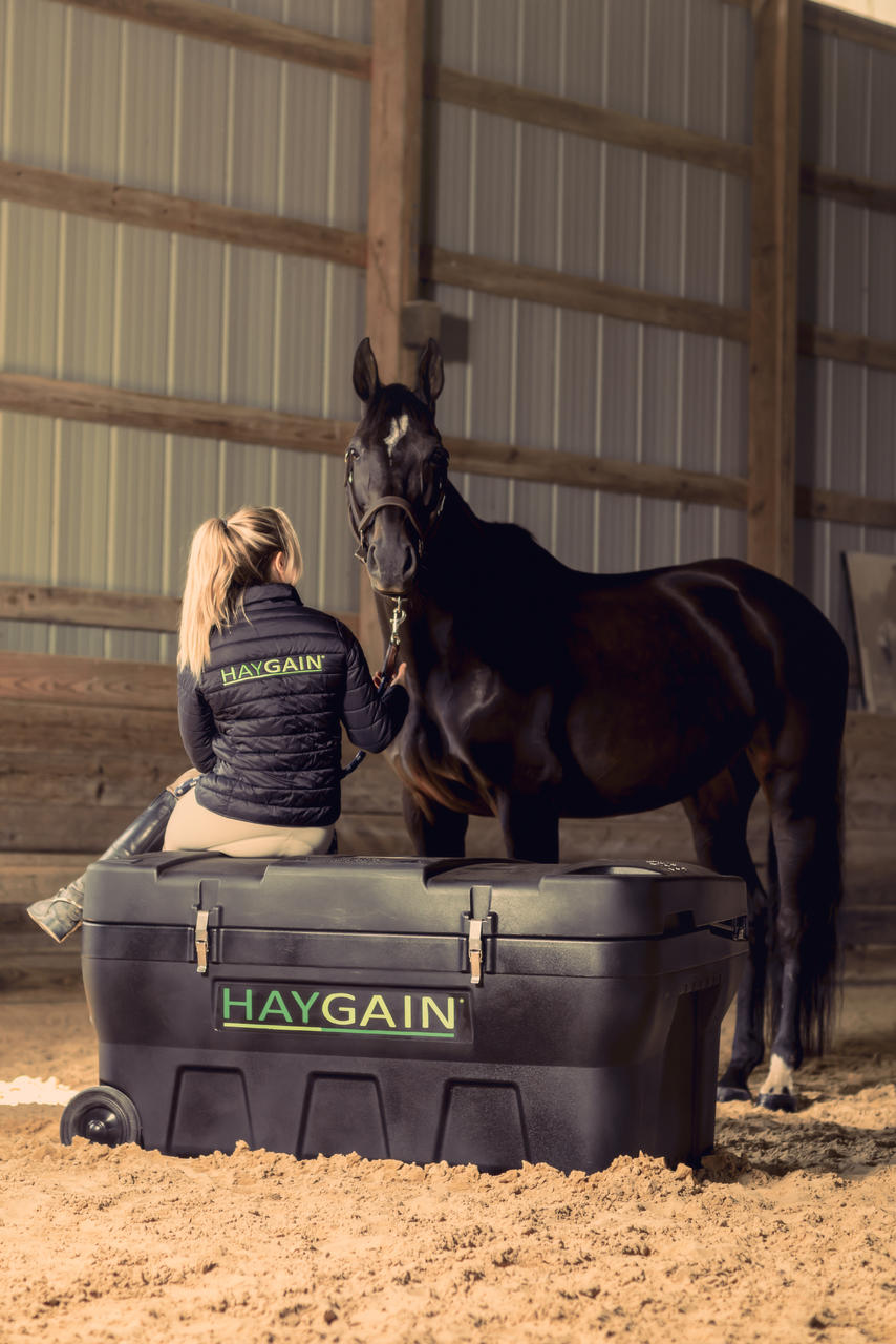 HAYGAIN HG 2002 Hay Steamer