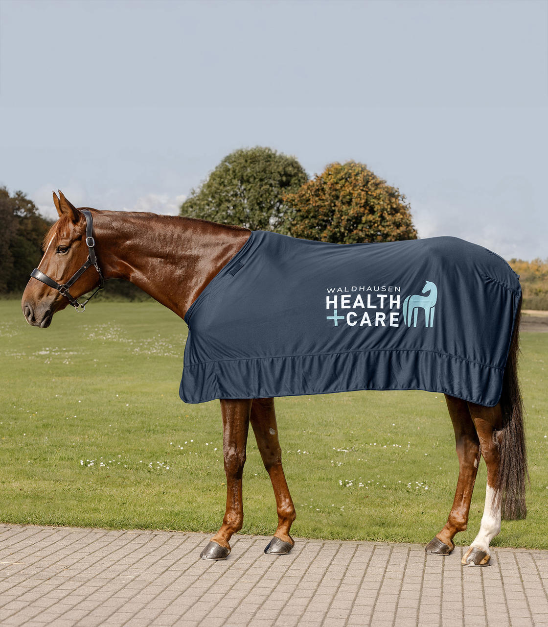 Waldhausen Health & Care W-Health & Care Ice Layer Decke