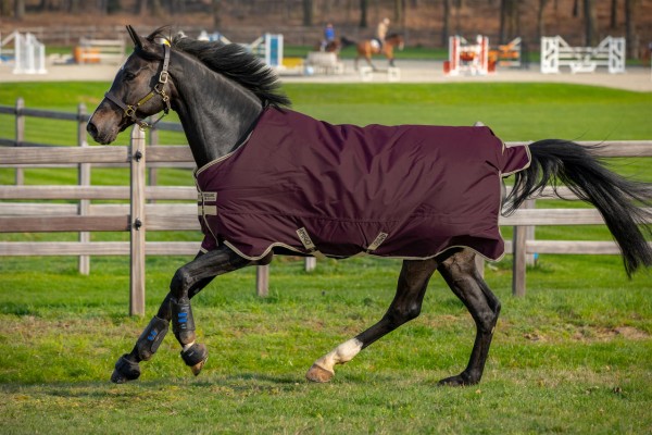 Horseware Amigo Hero 600D Ripstop 100 g Füllung