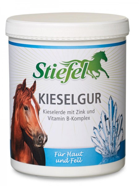 Stiefel Kieselgur - 1kg