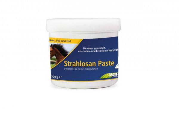 WAHL-Hausmarke STRAHLOSAN Paste 300 ml