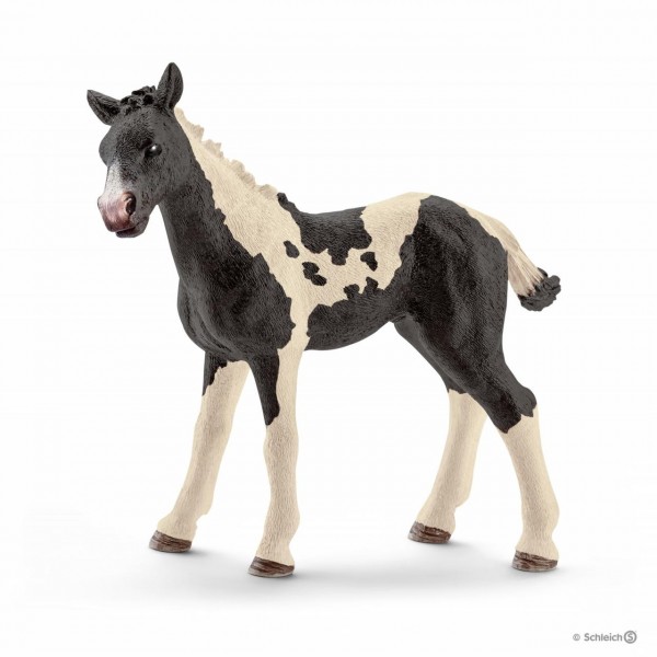 Schleich Pinto Fohlen
